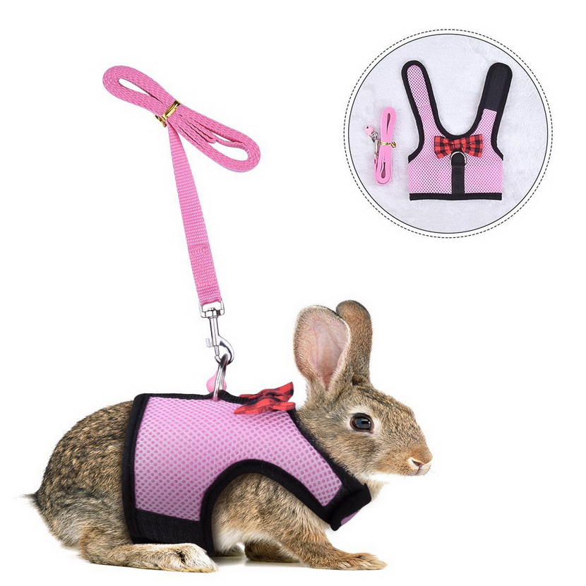 Rabbit Kitten Harness Cat Leash - Bunny Soft Nylon,Running,Walking Jogging Harness Leash with Safe Bell for Ferret and Other Small Pet Animals